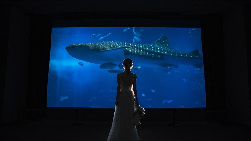 【スペシャル◇美ら海水族館1Dayフォト】海のお魚と一緒に幻想的なフォトウェディング☆海洋博公園&ビーチ&南国植物☆200カット