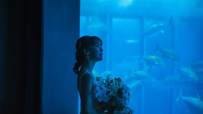 【スペシャル◇美ら海水族館1Dayフォト】海のお魚と一緒に幻想的なフォトウェディング☆海洋博公園&ビーチ&南国植物☆200カット