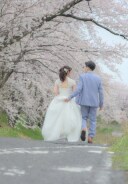 チェックのライトブルー／春夏向けのカジュアルテイスト