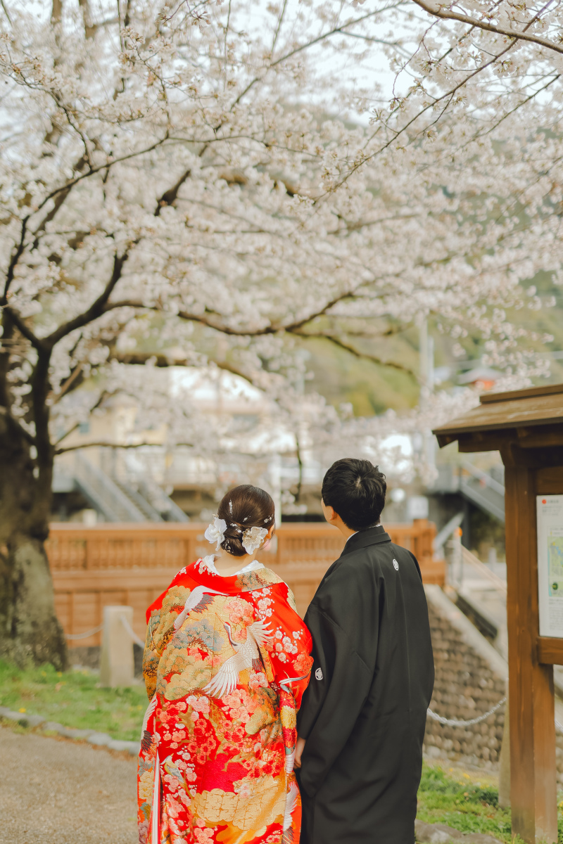 紅山水／古典柄・王道