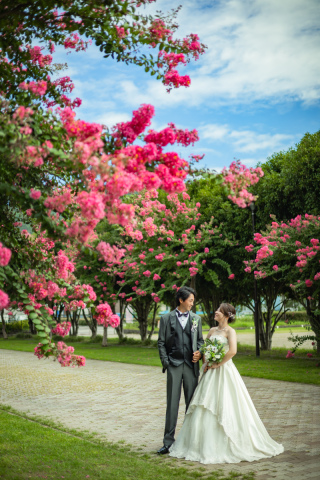 ダークグレー／ドットの蝶ネクタイを合わせて