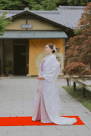 色掛下（ラベンダー）