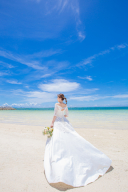 肘までの袖ありAラインドレス