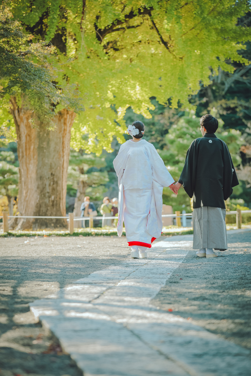 樹齢700年の大イチョウ