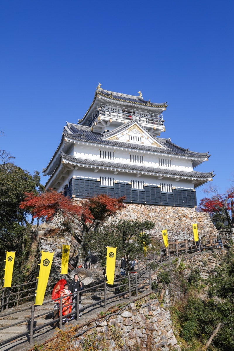 これを撮るために登ってきたのだ！！