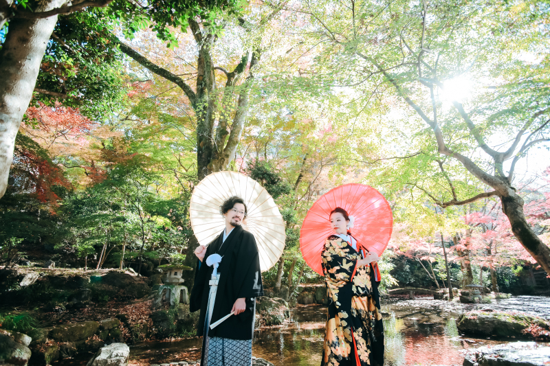 新緑みたいな鮮やかな色味。光の差し方もベスト。