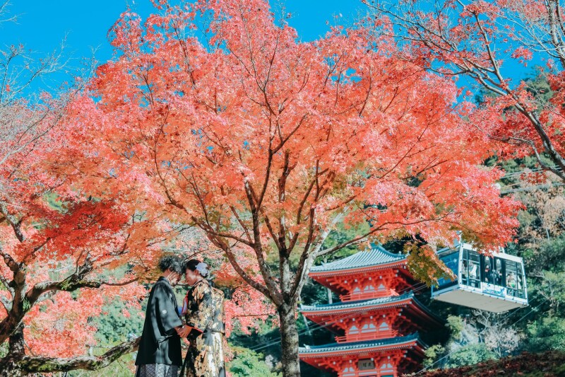 まさに、岐阜っぽいお写真ですね～！