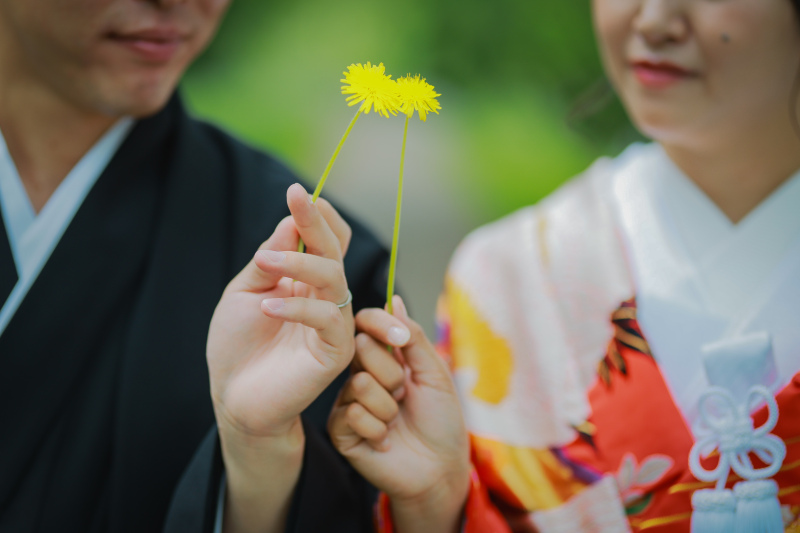 春らしい、タンポポと