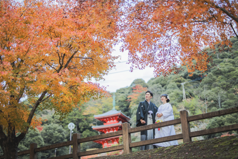 12月でこの”紅葉感”！！素敵すぎる！！