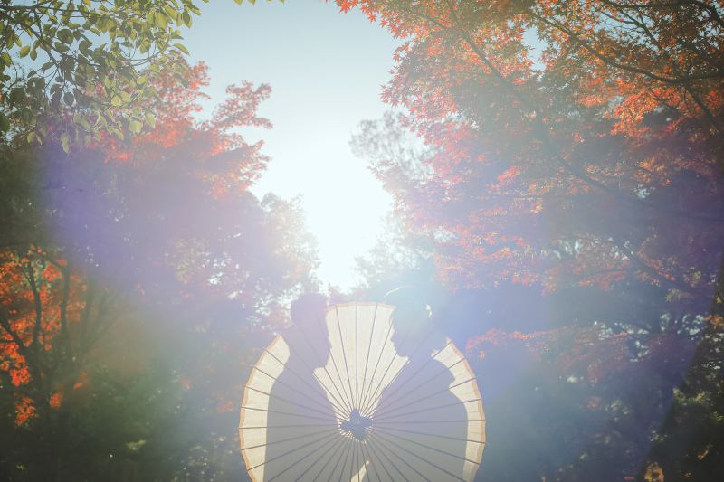 光があまりにもキレイだったので、、、