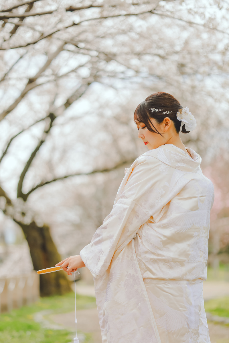 白無垢×満開の桜