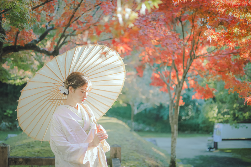 美しすぎて、見惚れる~!