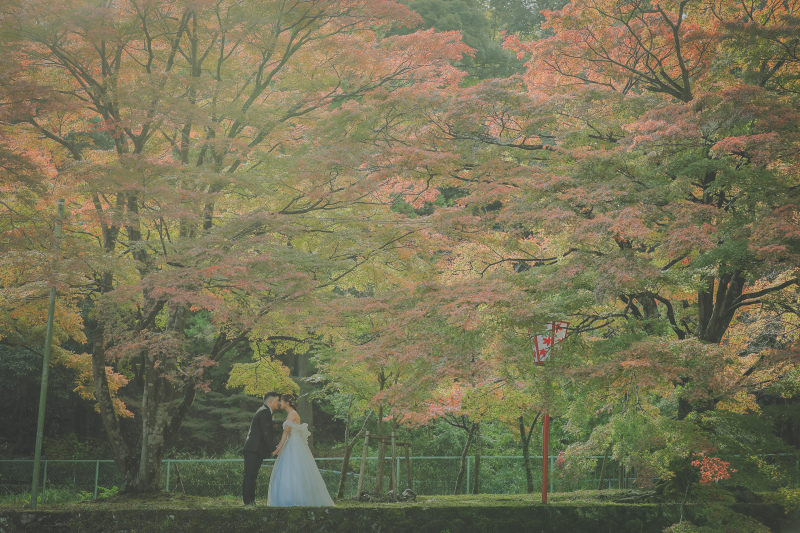 木漏れ日の優しい光と紅葉が◎