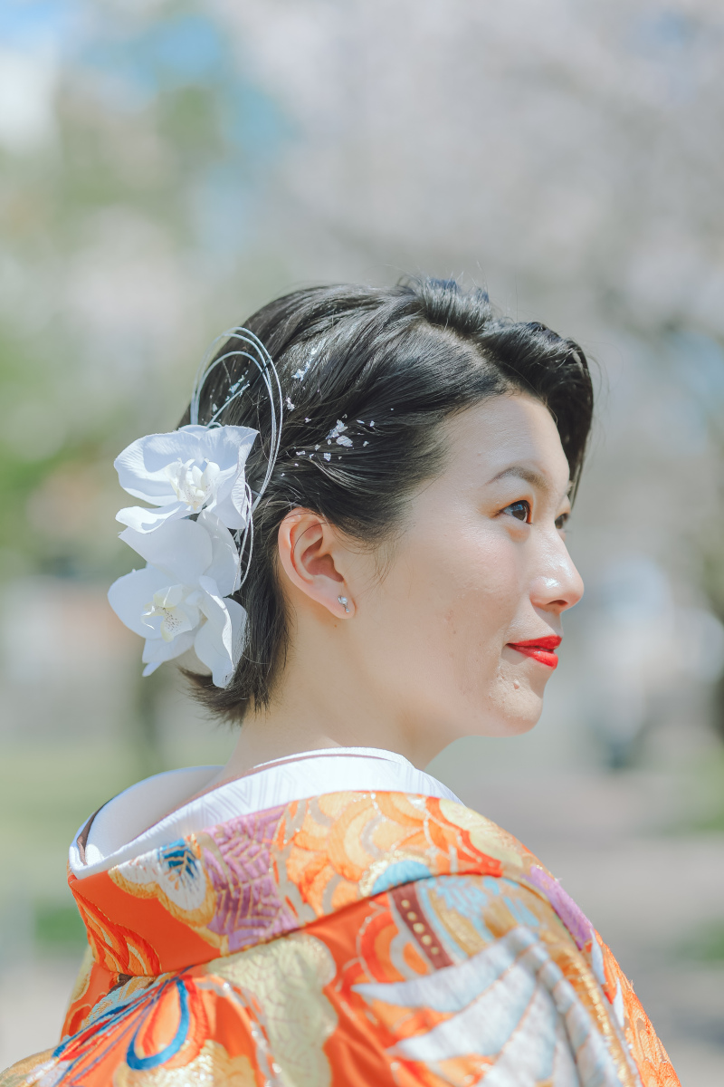 胡蝶蘭と水引き