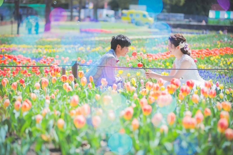 春のお花畑フォト♪ チューリップ×菜の花×桜