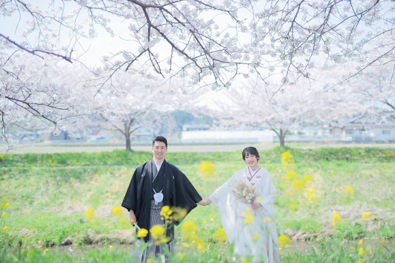 桜×菜の花♡　どちらも満開で嬉しい♪