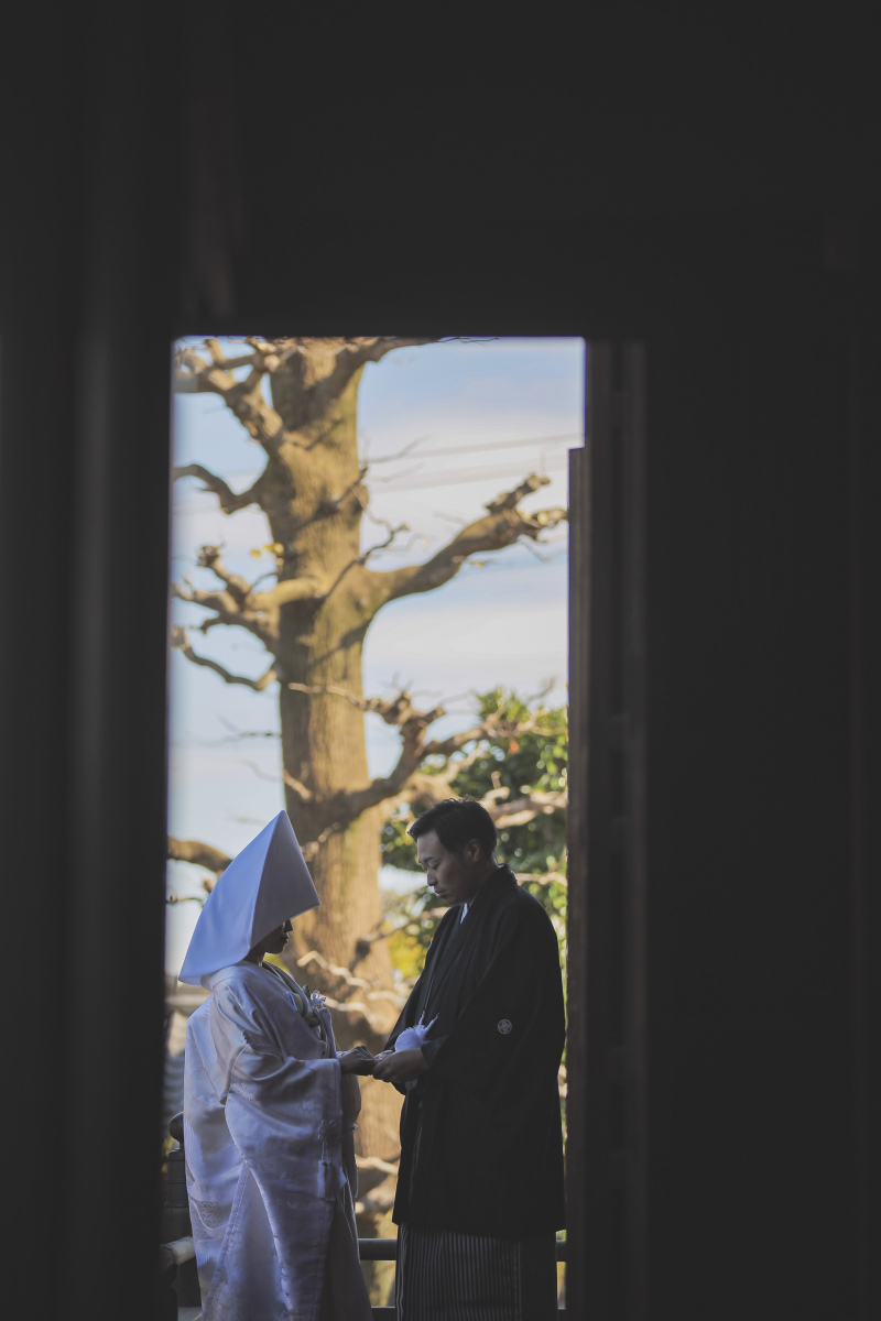 廊下に出て、お外でも撮りますよ～！