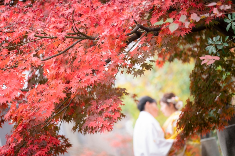 カワイイーーー、キレイーーー！