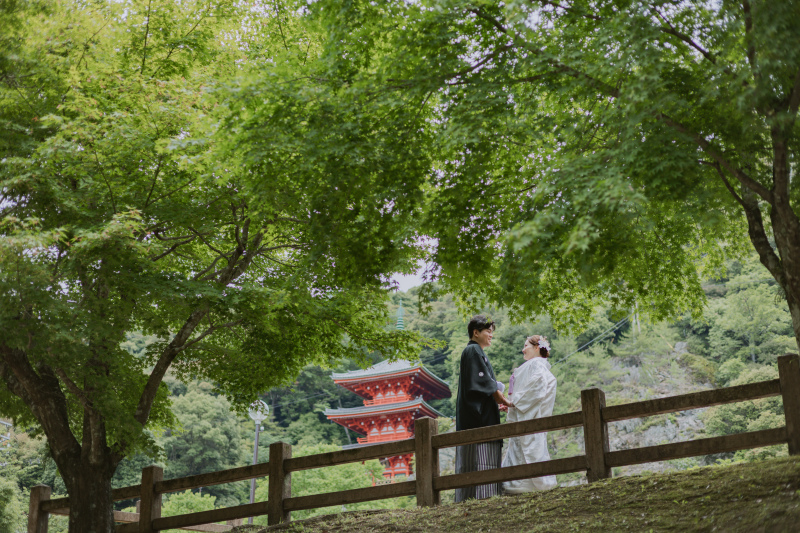 新緑がとっても奇麗な6月の岐阜公園