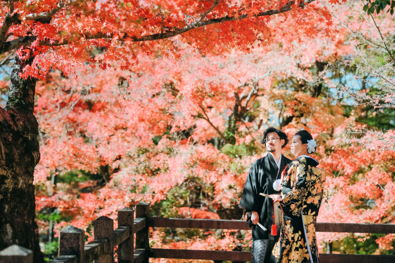 ここはどこ？惚れます、岐阜公園。