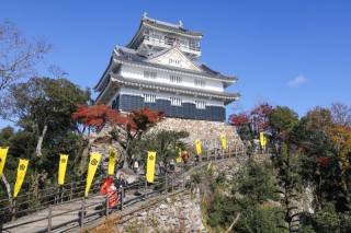 やっぱり岐阜城でしょ！！　～登山に近い山登りフォト～