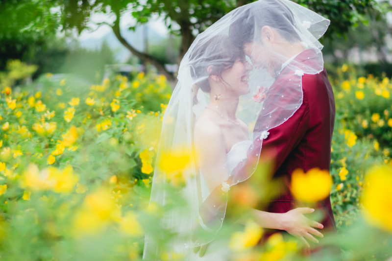 何か分からないけど、カワイイ黄色のお花発見!笑