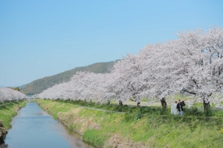 岐阜市には、まだまだ素敵な撮影スポットがたくさん♡