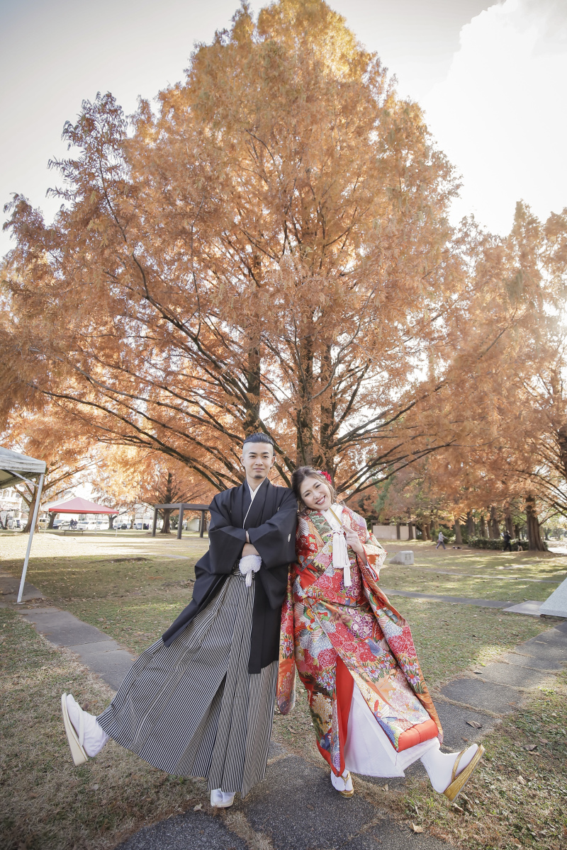 銀杏と紅葉だけじゃない！セコイヤの木もいい感じ！