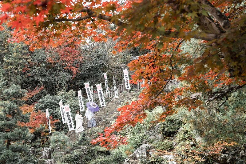 恥ずかしがり屋のお二人なので、、、