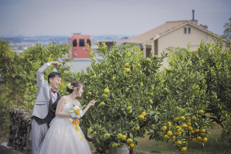 そうここは、ミカン畑だよ!