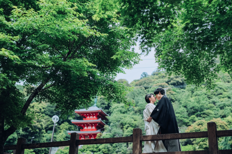 三重塔とのコントラストがまた、いい。