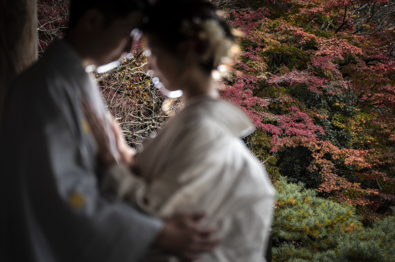 あえてピントを外しています。