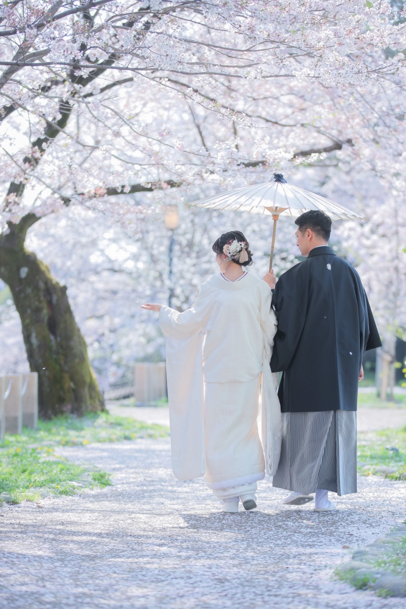 手前にも奥にも満開の桜が、お二人を包み込む♡
