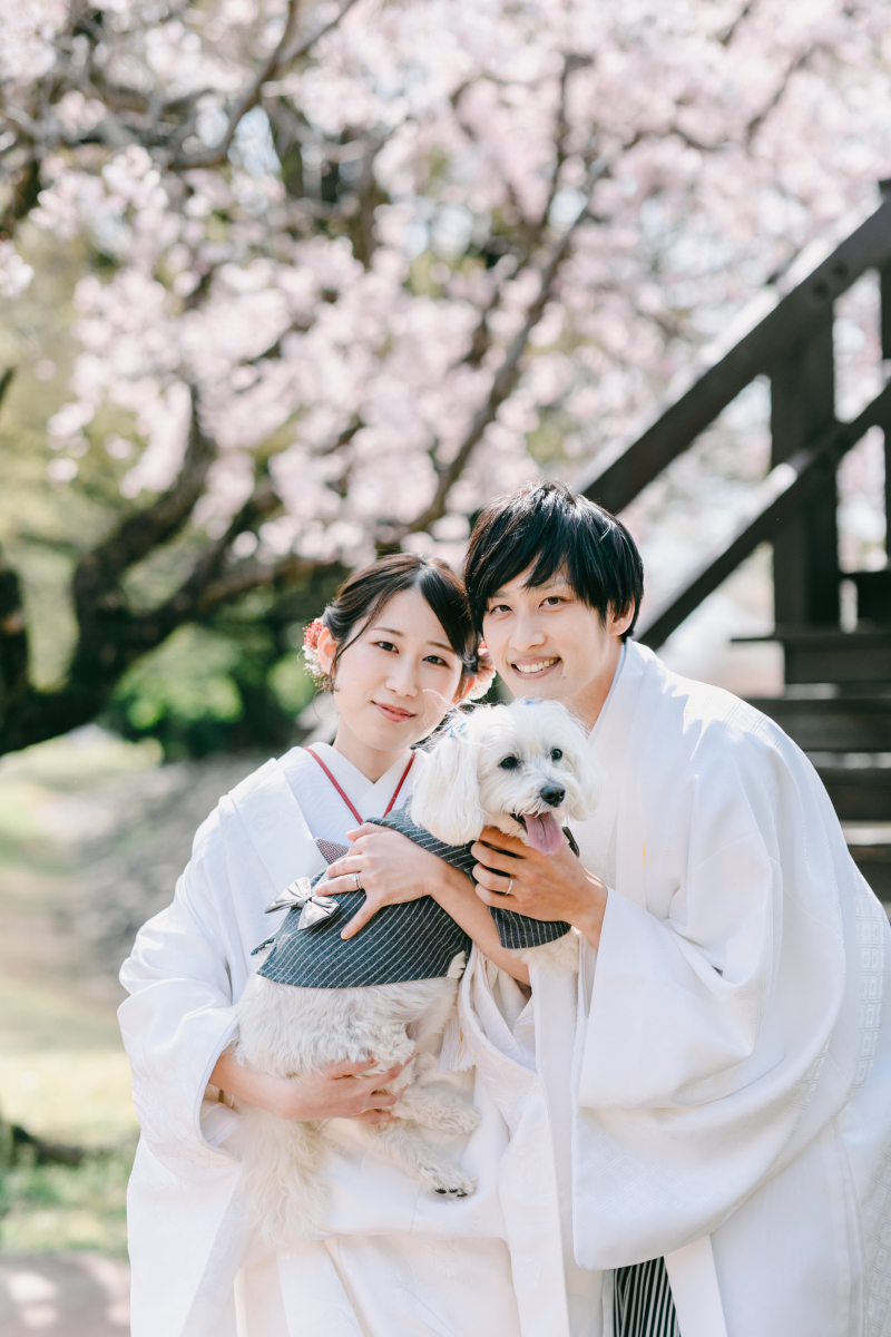 愛犬ポワロちゃんです～(^^)/