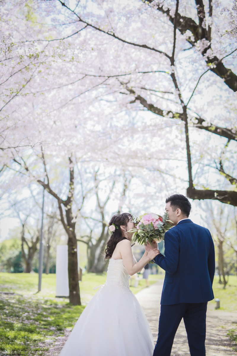 開花が超早かった桜ーーー!満開でラッキーーー!