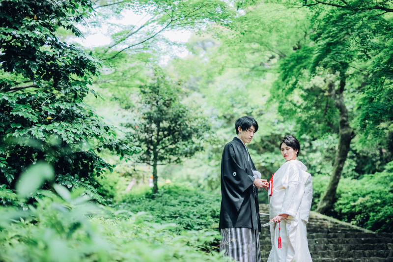 美しい、、、もう言葉はいらない。