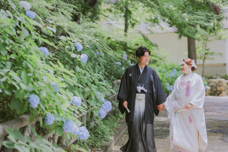 この時期は紫陽花が見頃です~