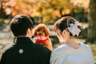 ”紅葉＋ビーチ” let's goだワン！