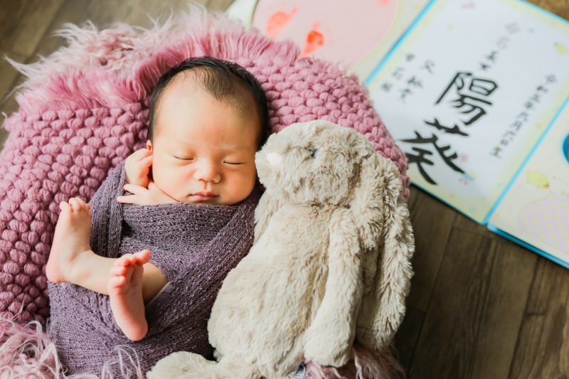 小物やぬいぐるみと一緒に。