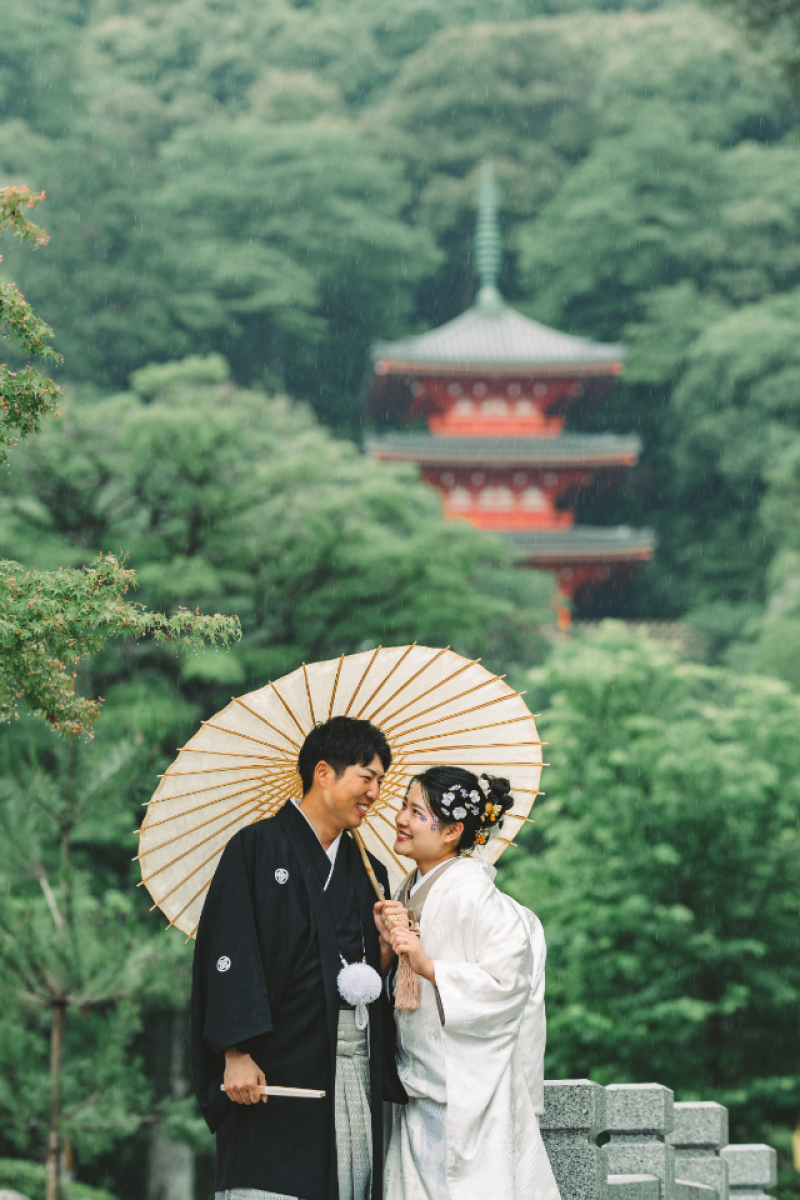 三重塔が雨で薄っすら幻想的～