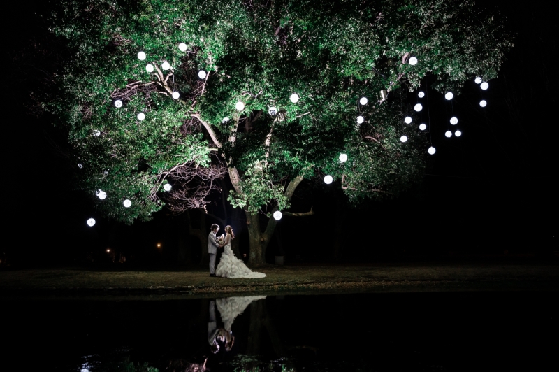 おっきな木にも、ボンボンイルミネーションが☆