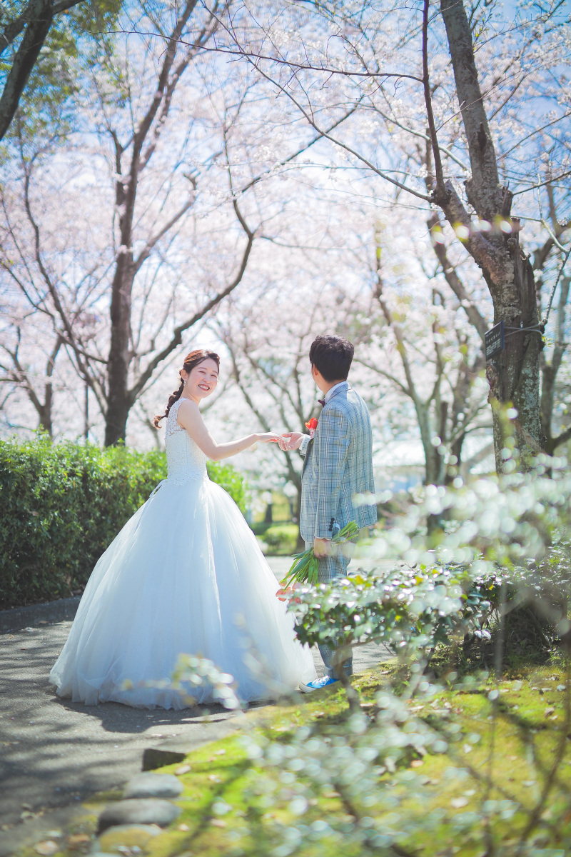 桜もあるのよ~!それも満開です!