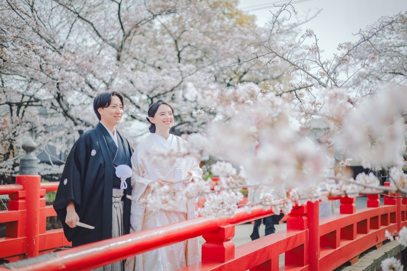 手前にも桜、奥にも桜。見どころいっぱい!