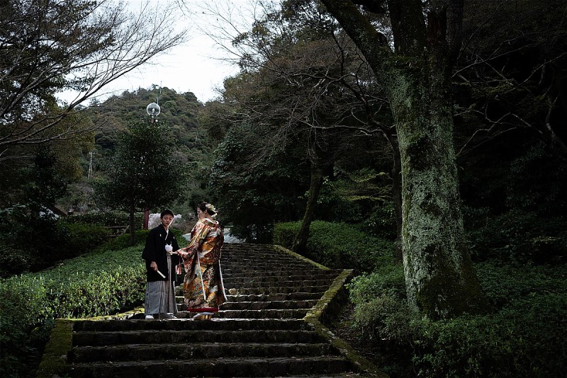 結びの一枚は、なんとも幻想的な一枚(>_<)