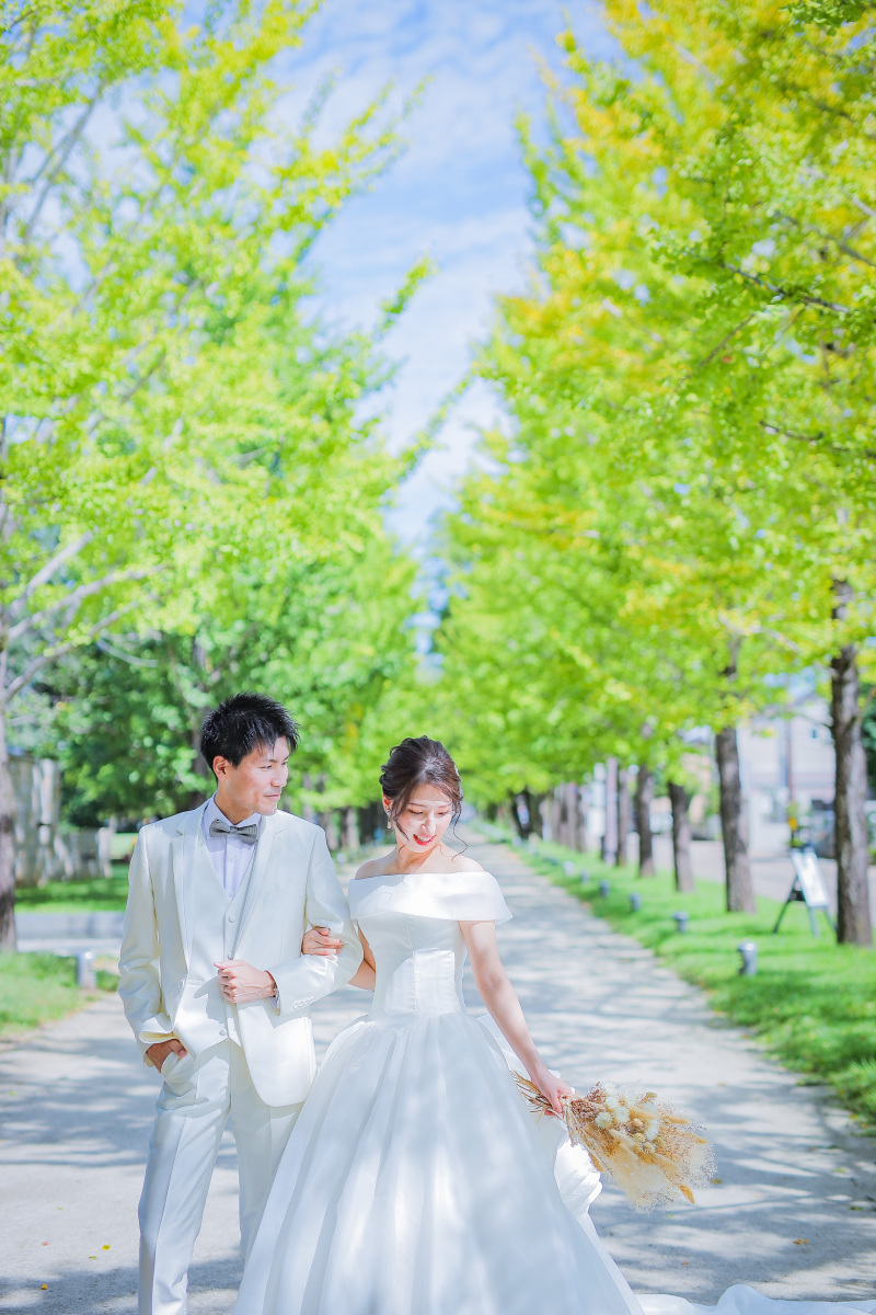 真夏のような青い空と黄緑のイチョウ。新緑みたい！