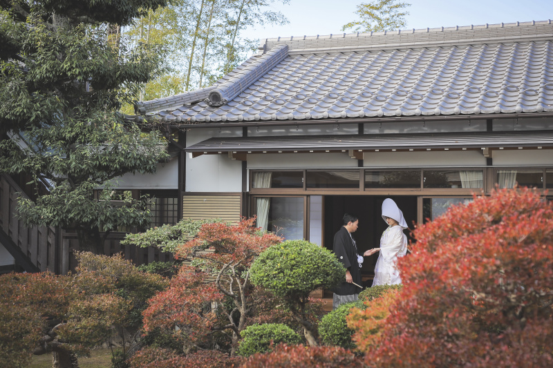 なんて素敵で大きなお家なんでしょう！ビックリ！