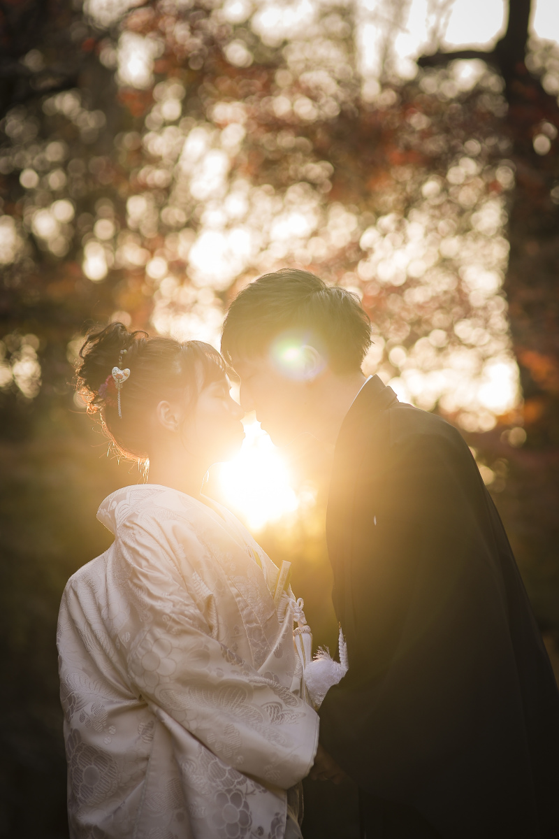 木漏れ日の夕方、チャンスはほんのわずかな時間！