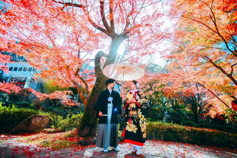 美しい、紅葉×逆光×着物×お二人