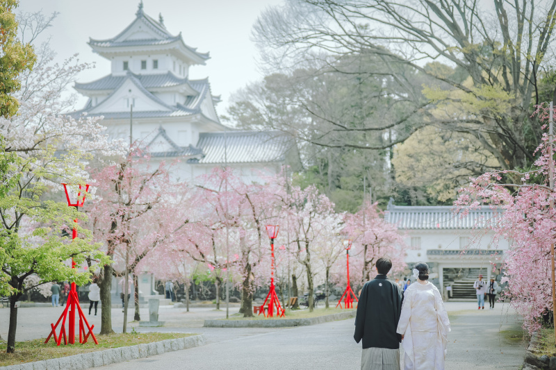 薄ピンクと濃いピンクの桜に囲まれた大垣城