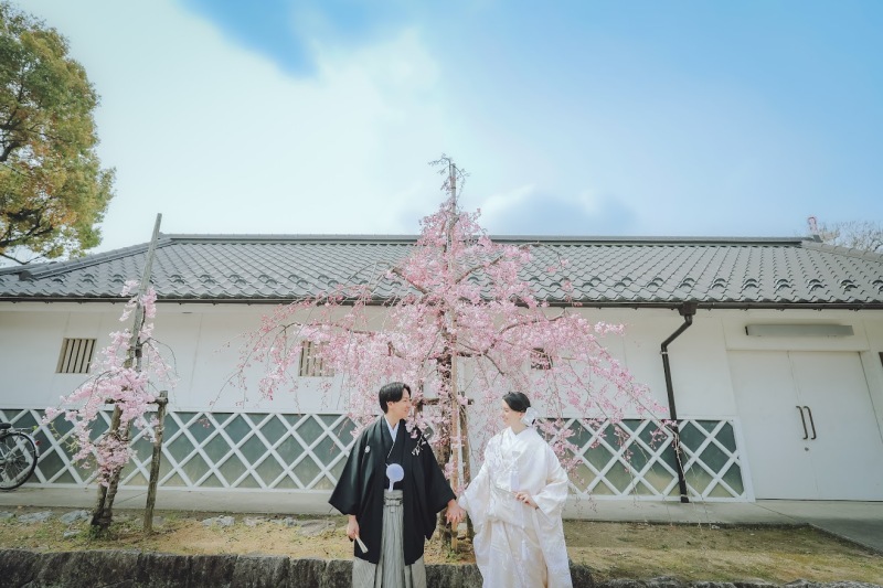 晴天と満開の桜が◎